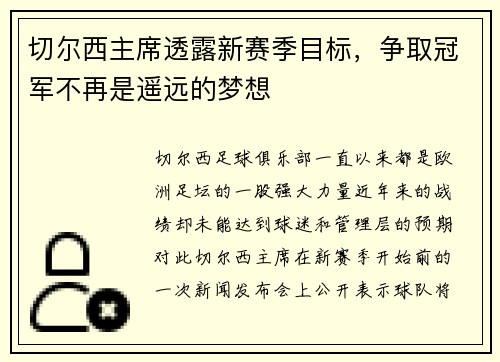 切尔西主席透露新赛季目标，争取冠军不再是遥远的梦想