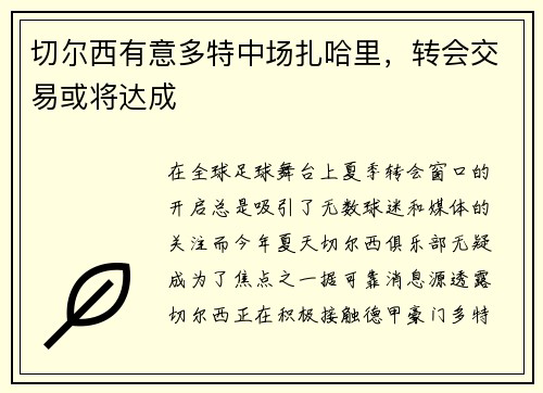 切尔西有意多特中场扎哈里，转会交易或将达成